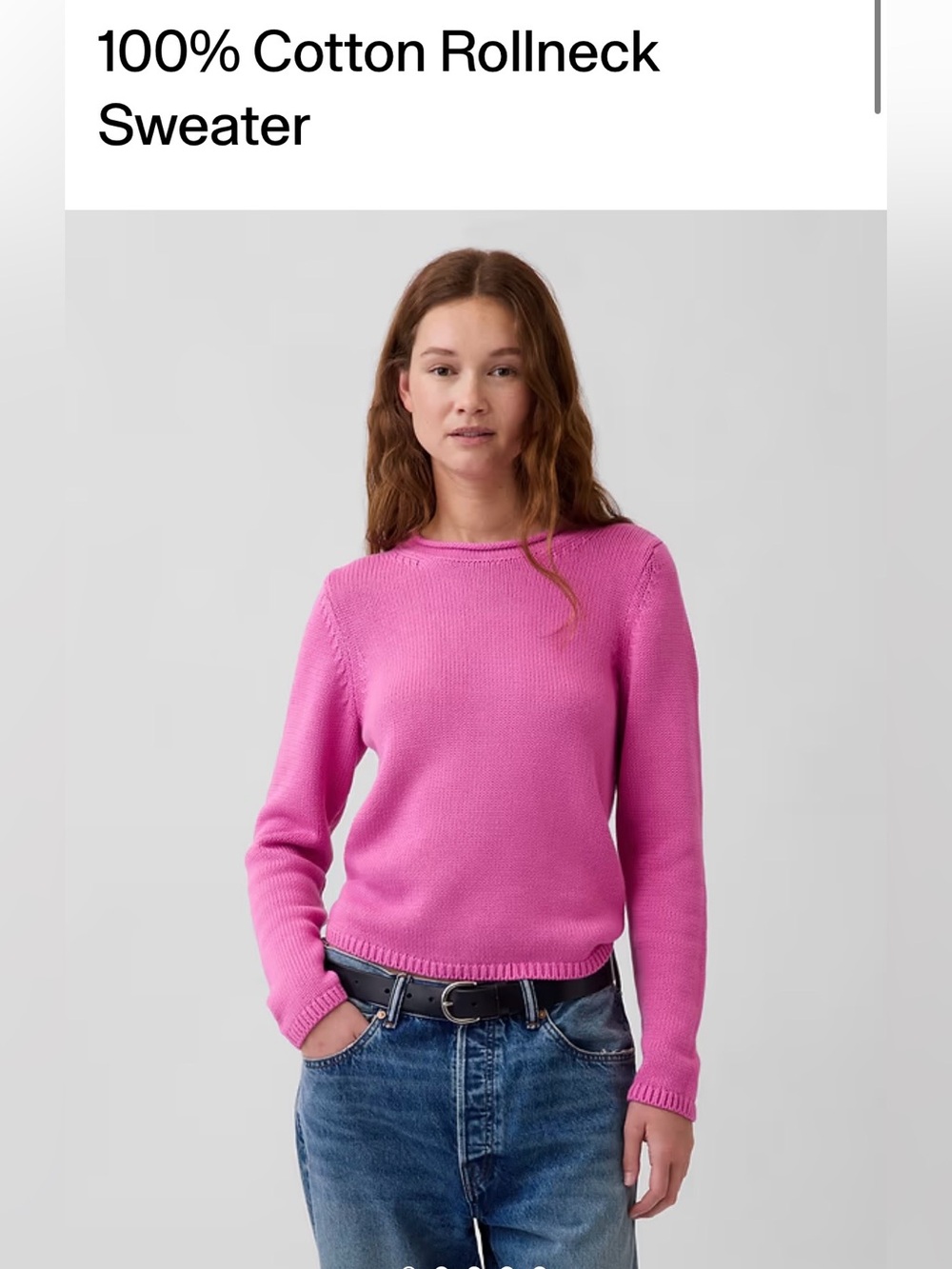 Gap Rollneck Sweater